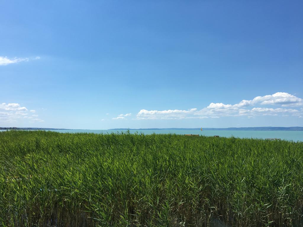 Residence at lake Balaton Siofok Bagian luar foto